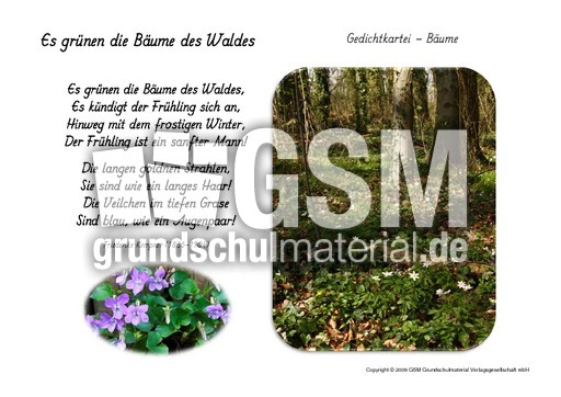 Es-grünen-die-Bäume-Kempner.pdf